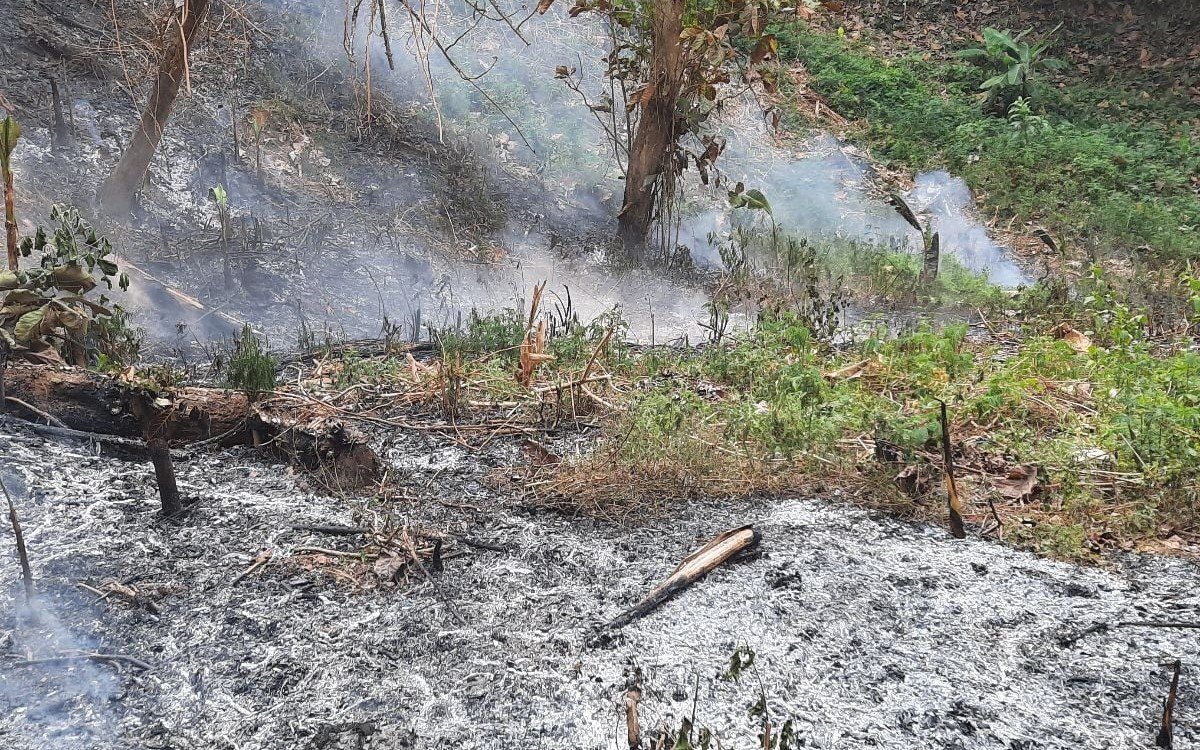 Kebakaran hutan dan lahan di Jawa Barat menjadi sorotan DPRD Jabar terkait penegakan hukum dan pengelolaan kehutanan.