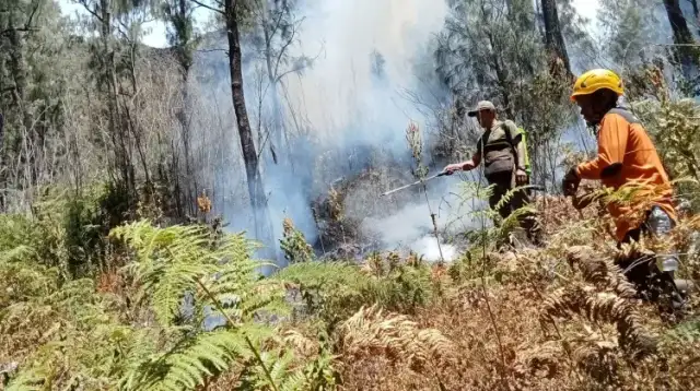 Perbaikan jaringan pipa air bersih di Pasuruan setelah kebakaran hutan di lereng Gunung Arjuno dan Gunung Ringgit.