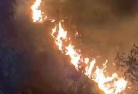 Tim gabungan melakukan evakuasi pendaki Gunung Sumbing saat kebakaran hutan dan lahan masih berlangsung.